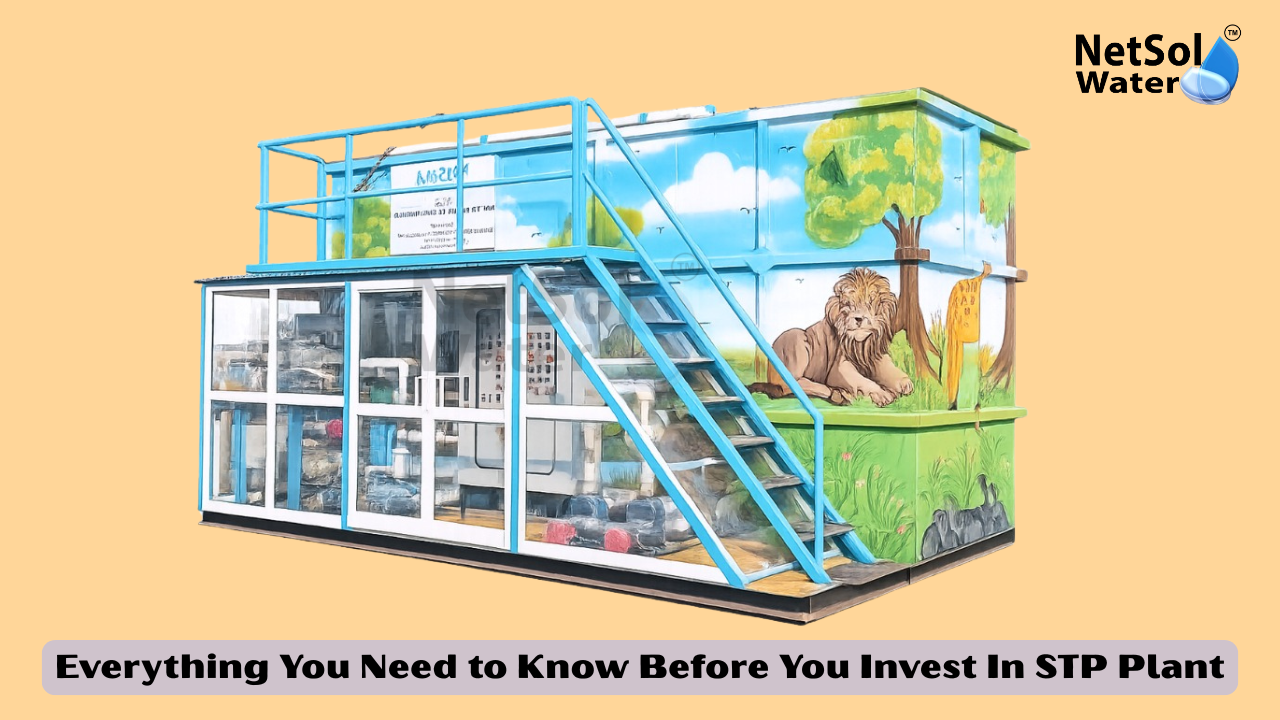 Everything You Need to Know Before You Invest In STP Plant